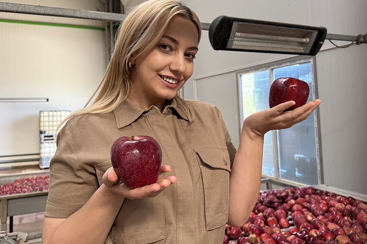 Ürünlerini kurutarak katma değerli hale getirecek