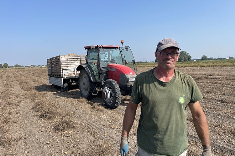 Polonyalı çiftçilerin endişeli bekleyişi