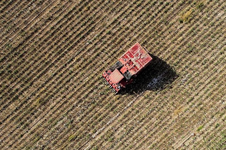 Türkiye 68,5 milyar dolarlık tarımsal hasılayla 2023'te Avrupa'da birinci oldu