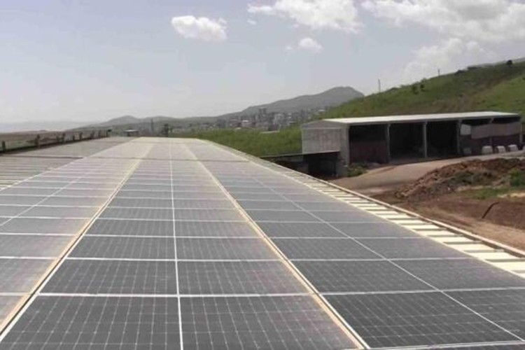 Siirt'te devlet desteğiyle modern süt sığırcılığı tesisi