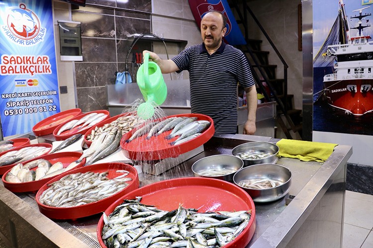Trabzon'da balıkçı tezgahlarında bolluk yaşanıyor