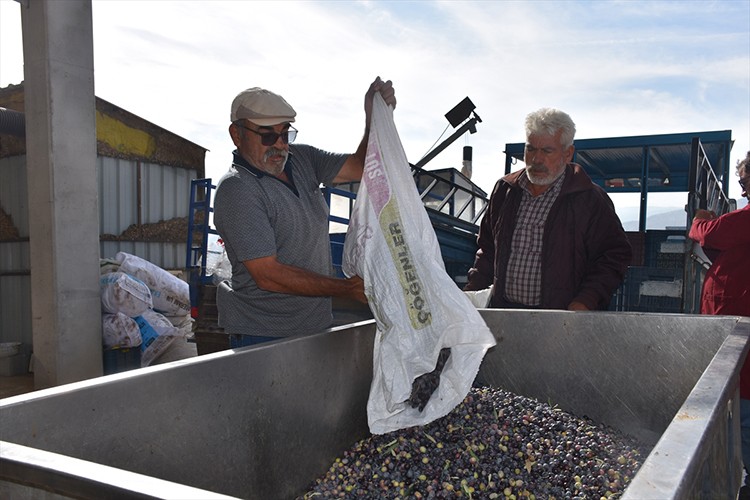 Zeytinyağı tesisiyle üretime katkı sağlıyor