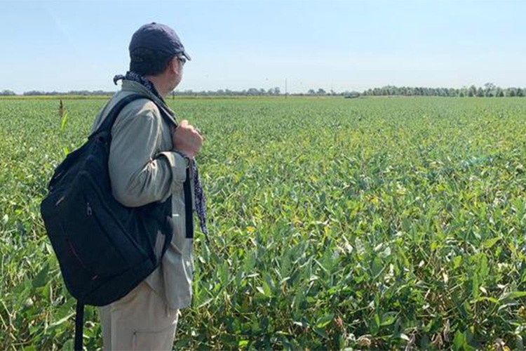 ABD'de "çok sayıda tarım ürünü üretmeye hazırlanın" çağrısı