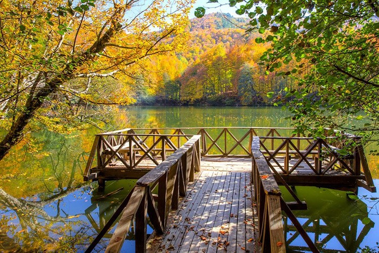 Milli parkları 8 ayda 39 milyon kişi ziyaret etti