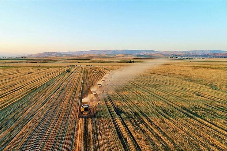 Tarımsal destek ödemeleri bugün yatırılıyor