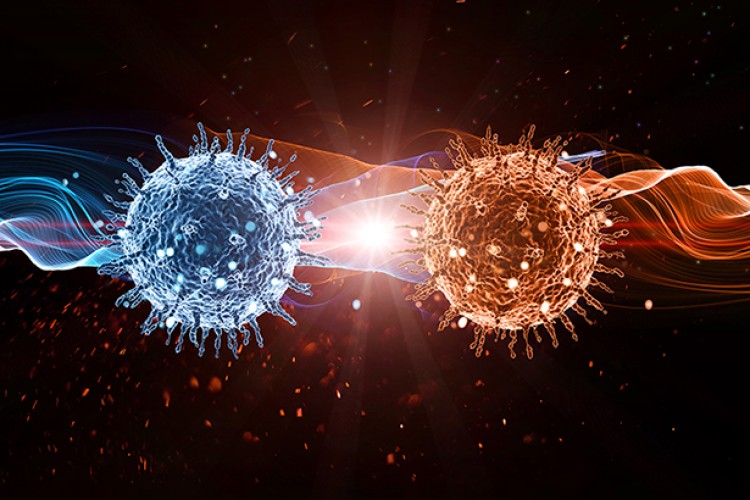 Coronavirüs internete sıçradı