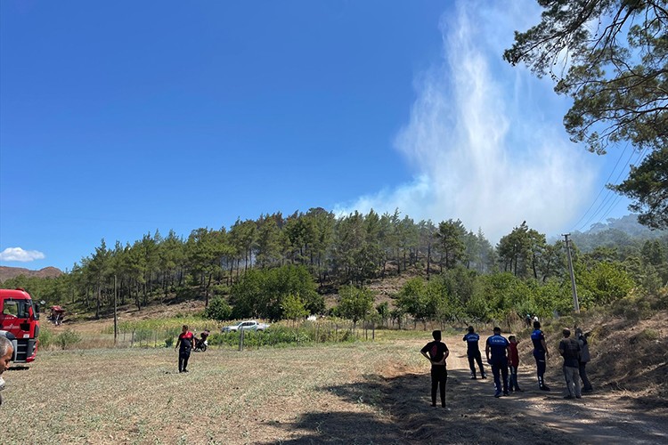 Marmaris'te ormanlık alanda yangın çıktı