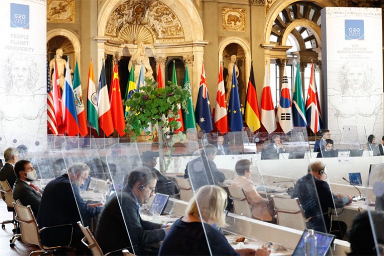 Dünyanın dörtte biri gıda güvensizliğiyle karşı karşıya