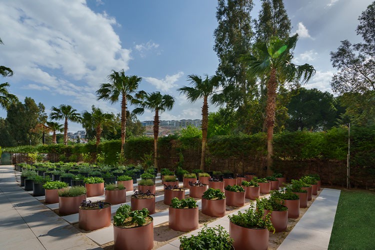 Liberty Hospitality Group, karbon salınımını yüzde 10 azaltmayı hedefliyor