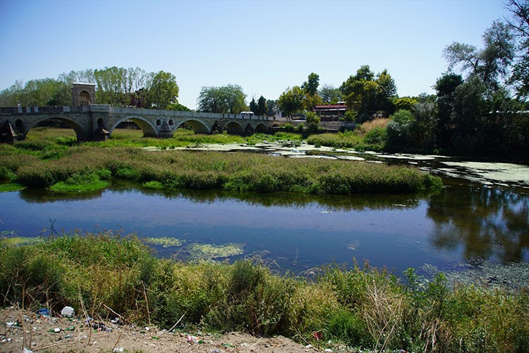 Su akışı duran Tunca nehri ot öbekleriyle kaplandı