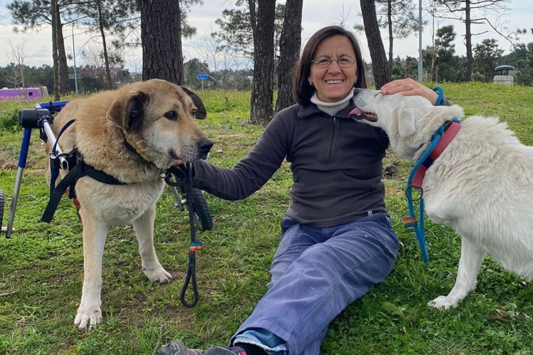 Engelli hayvanlar için kulaç atacak