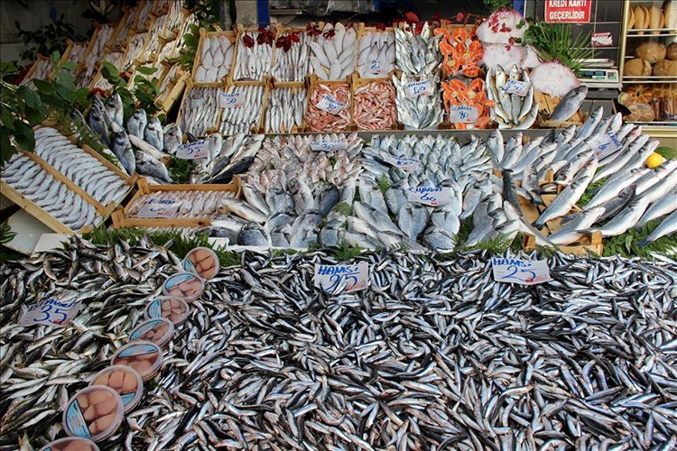 Bu sezon hamsi bolluğu yaşanması bekleniyor