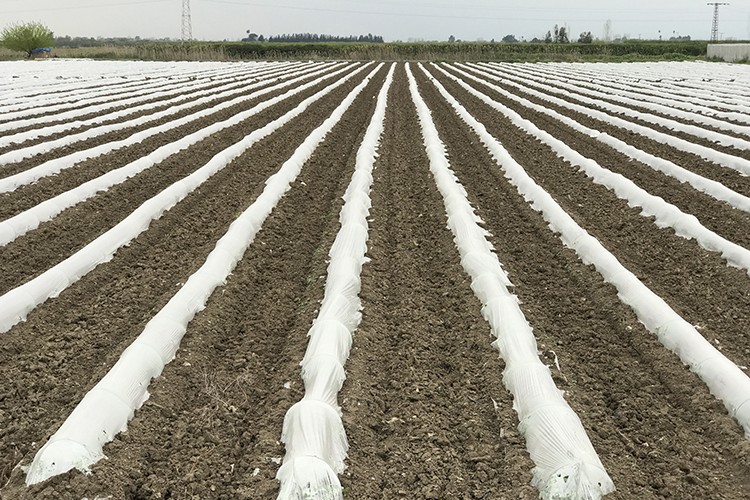 Üretimin yüzde 20'si Adana'da