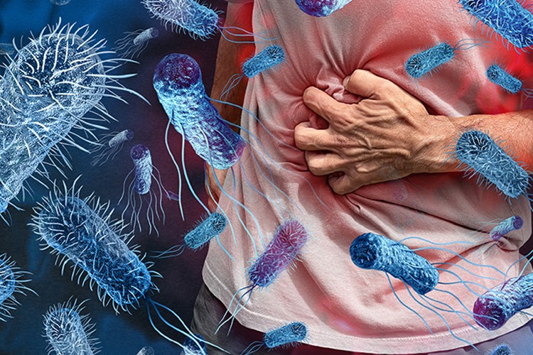 Yaz aylarında gıda zehirlenmelerine dikkat