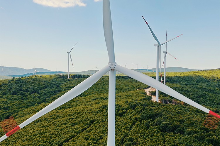Fiba Yenilenebilir Enerji ilk Sürdürülebilirlik Raporu'nu yayımladı