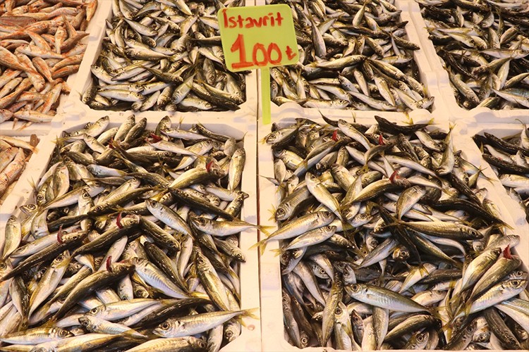 Karadenizli balıkçıların tezgahlarında en çok istavrit yer alıyor