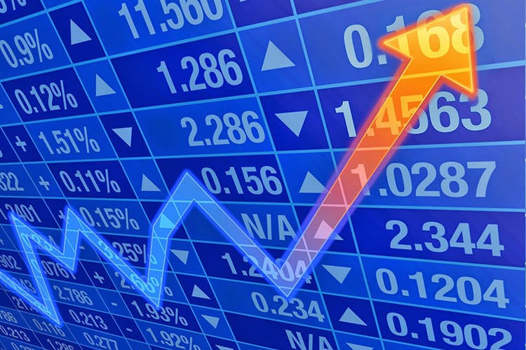 Kazananlar, kaybedenler