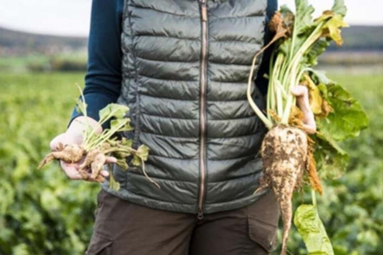 Pancar bedel ödemeleri hesaplara aktarıldı