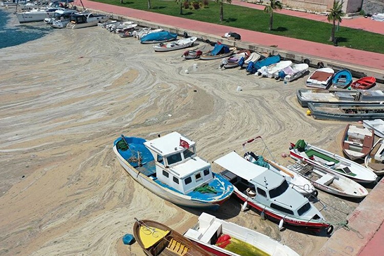 Müsilaj mağdurlarına 4.2 milyon destek