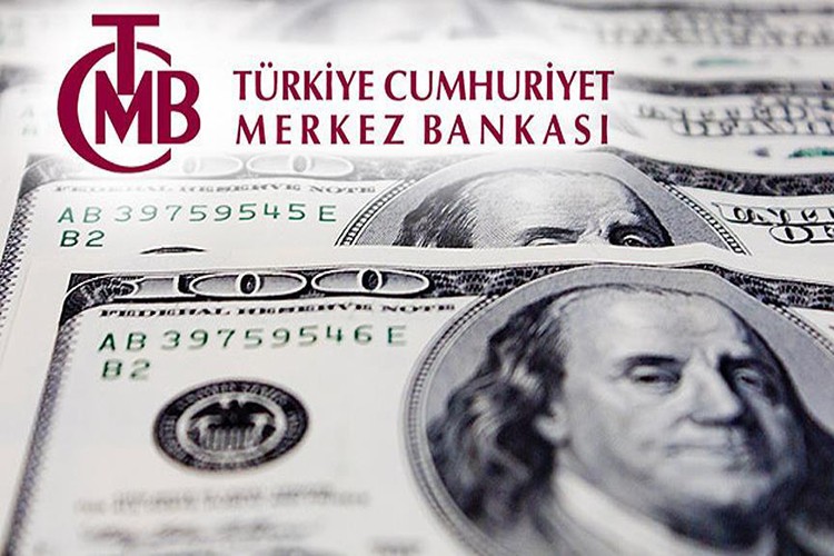 Türkiye'nin yurt dışı varlıkları 302,4 milyar dolar oldu
