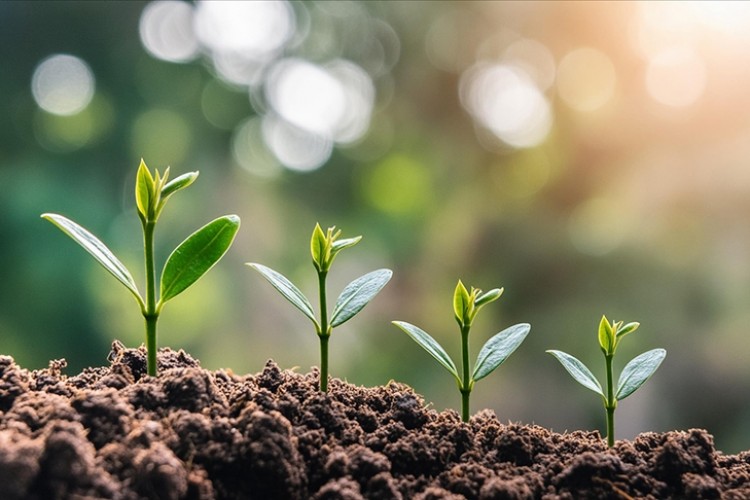 Enerji ve Tabii Kaynaklar Bakanlığı'ndan 5 yılda çevreye yaklaşık 1 milyar liralık yatırım