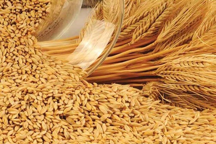 Buğday fiyatı yükselişe geçti