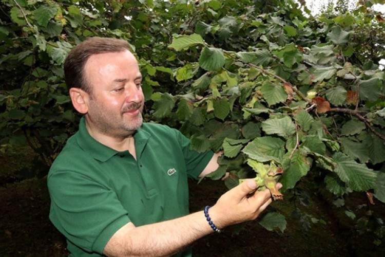 Üreticiye gübreleme önerisi