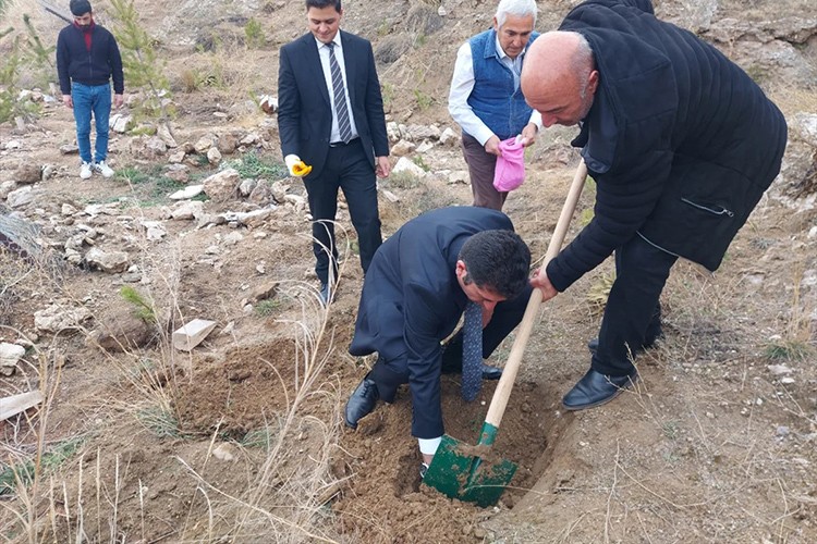 Sivas'ta 150 bin badem tohumu toprakla buluşturuldu