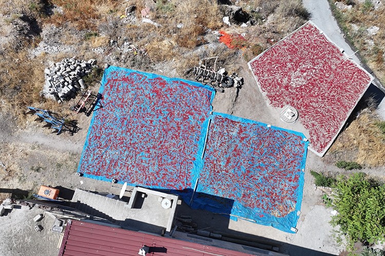 Kayseri'nin damlarında kuruyan Cırgalan biberi sofralara lezzet katıyor