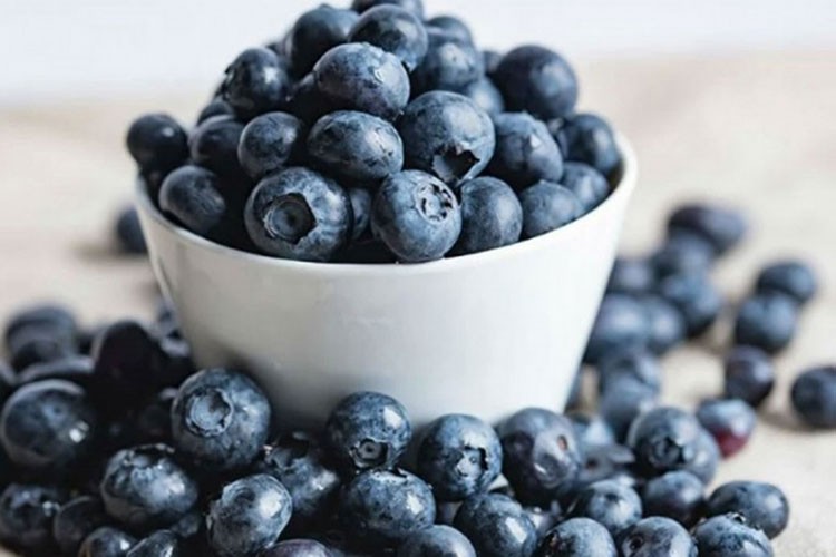 "Alova Farm" ile dünya pazarına açılacağız