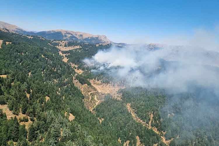 Kahramanmaraş'ta çıkan orman yangınına müdahale ediliyor