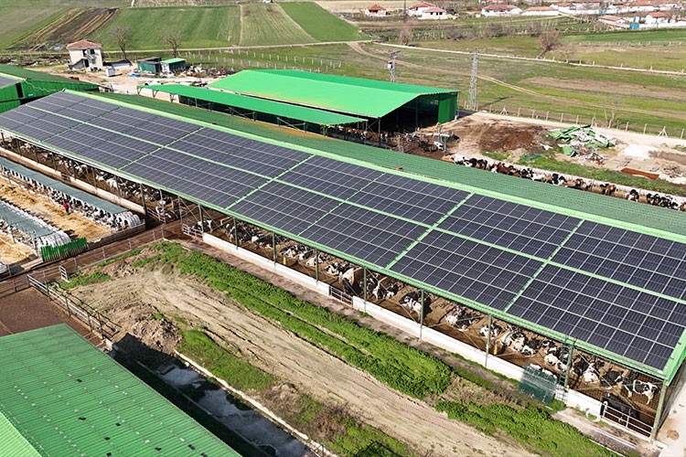 Çatısına kurdukları panellerle elektriği güneşten sağlıyorlar