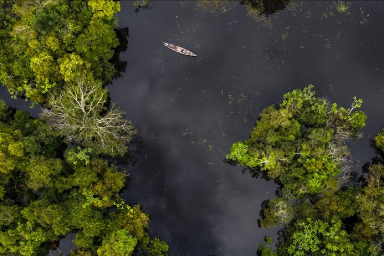 Amazonlar'daki kuraklığın nedeni küresel ısınma