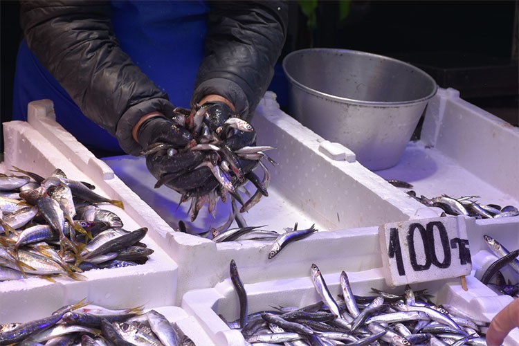 Trabzon'da hamsinin kilogramı 100 liradan satılıyor
