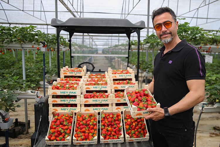 Hem istihdam sağlıyor hem ihracat yapıyor