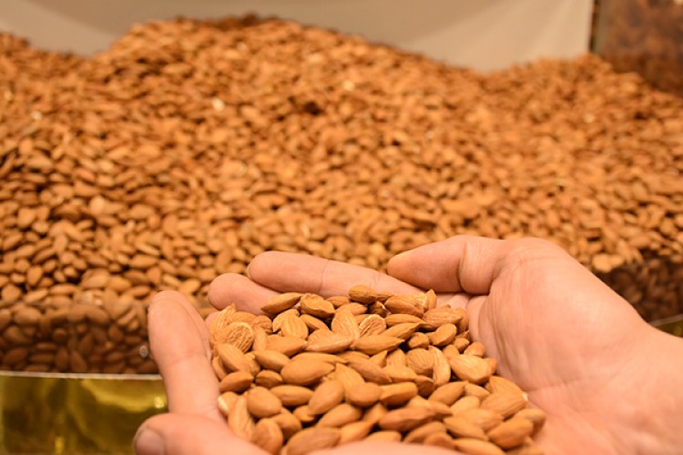 Kayısı çekirdeğinden 17,6 milyon dolar gelir