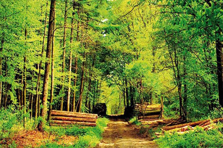 İş hizmeti alınacak