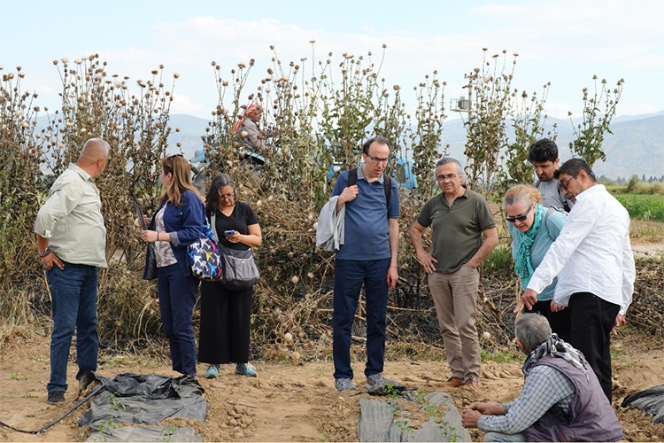 İklim Dostu Tarım İçin Örnek Çiftlikler