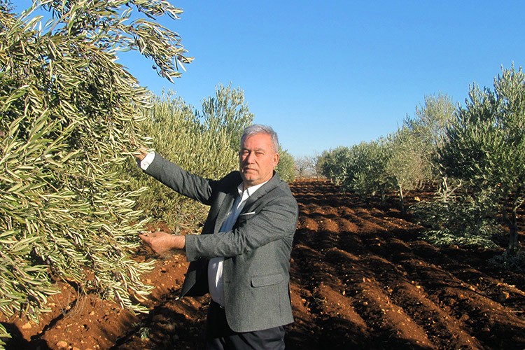 Araban Ovası suya doydu