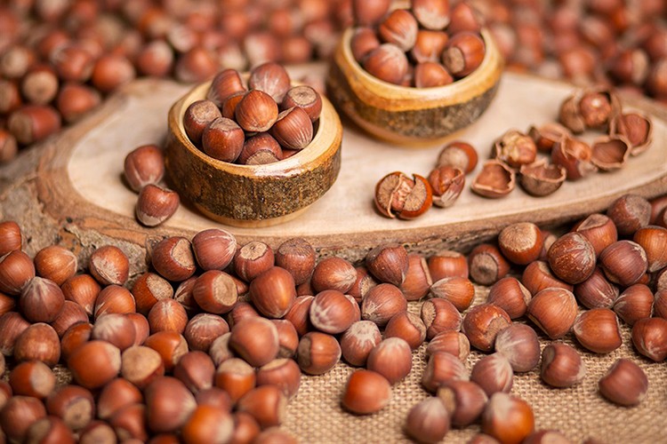 İki ayda 358 milyon dolarlık fındık ihracatı gerçekleştirildi