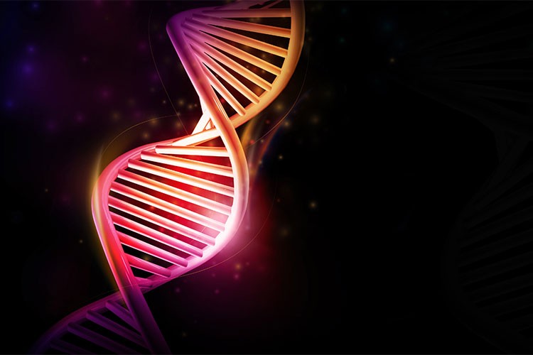 Kök hücre tedavilerinde umut verici sonuçlar alınıyor