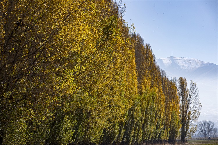 Erzurum'un kırsal mahallelerinde sonbahar renkleri hakim oldu