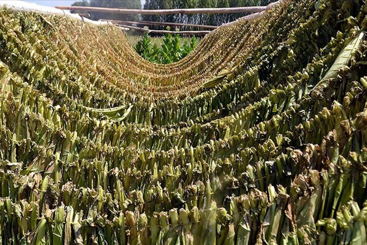 Tütün sektörüne eş zamanlı kayıt dışılık sayımı