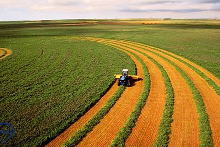 ABD'de tarım beklentilere paralel gerçekleşti