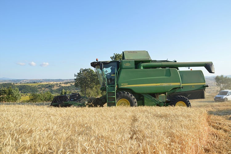 Havza'da 90 bin ton buğday rekoltesi bekleniyor