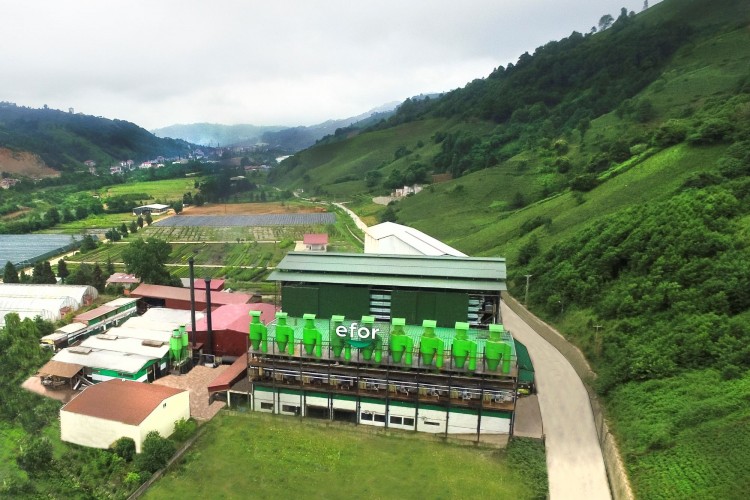 Efor Çay'ın halka arz büyüklüğü 1 milyar 305 milyon TL oldu