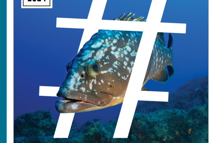 Deniz Plastik Çöpünün en Ölümcül Haline Son!