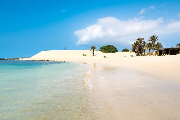 Cape Verde ve Kanarya Adaları