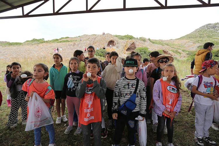 Muğla'da mera alanları 3.5 kat arttı