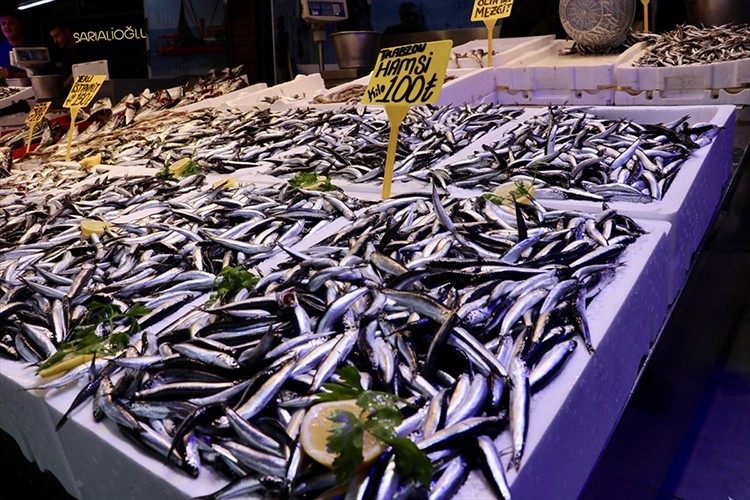 Trabzon'da hamsinin kilogramı 100 liradan satıldı